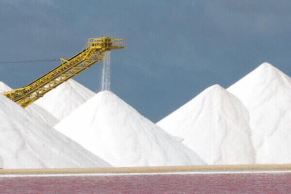Patanjali Salt Network