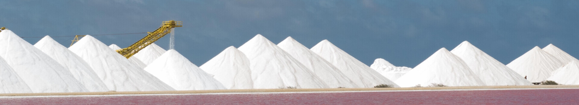 Patanjali Salt Network